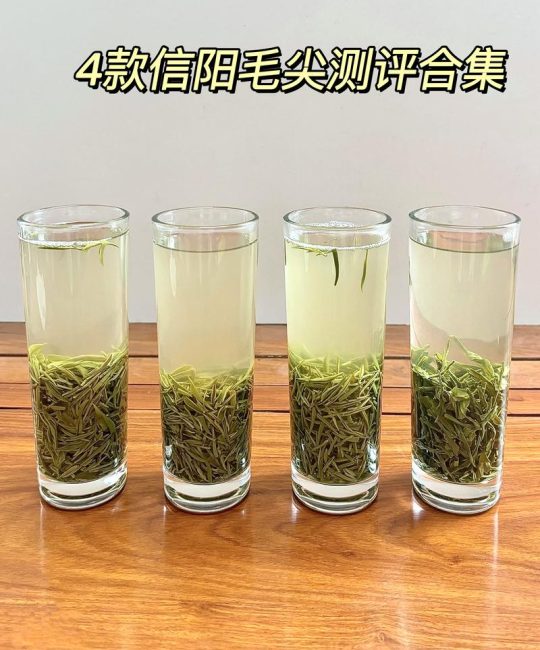 信阳毛尖最贵三个品种深度对比：明前、特珍与云雾茶