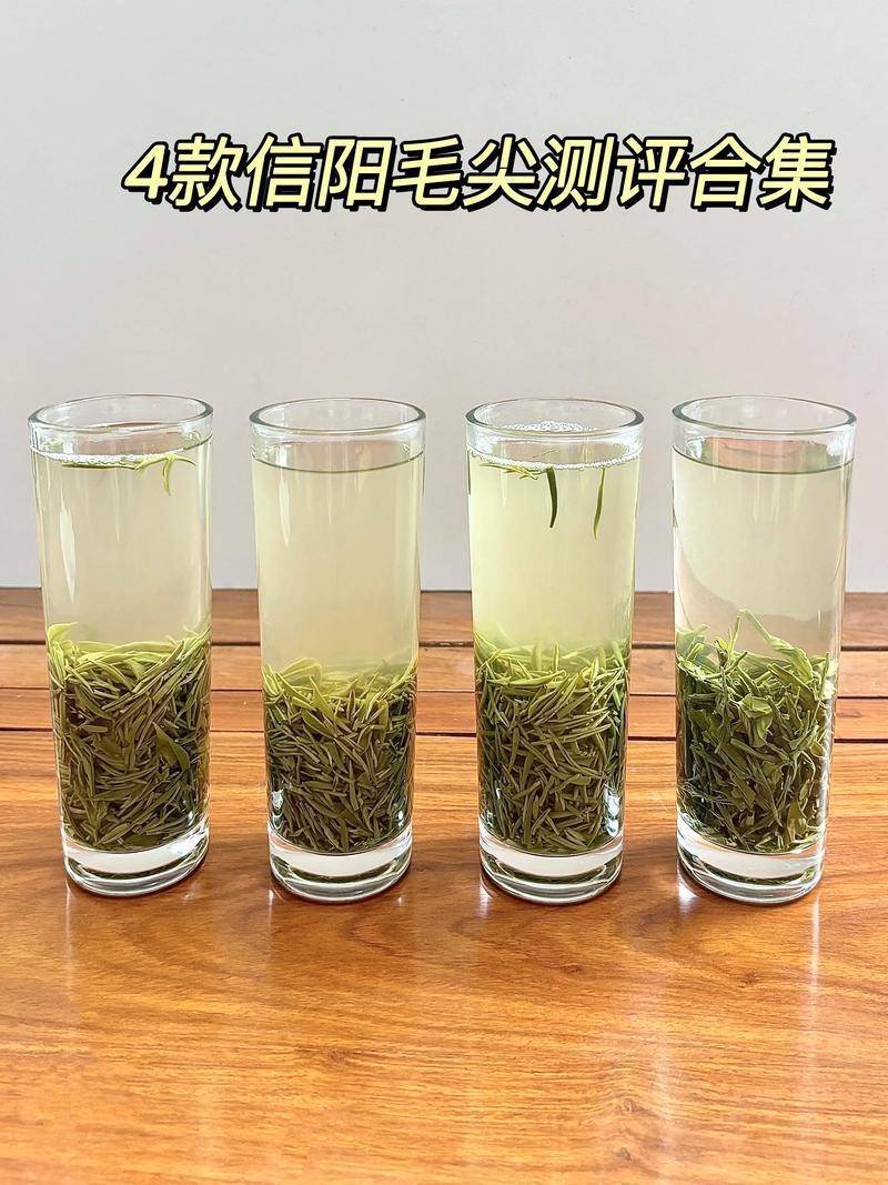 信阳毛尖最贵三个品种深度对比:明前、特珍与云雾茶 信阳毛尖最贵三个品种深度对比:明前、特珍与云雾茶