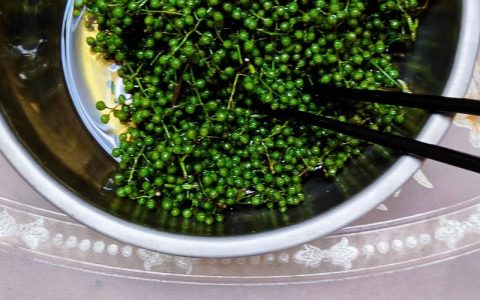 怎么储存青花椒