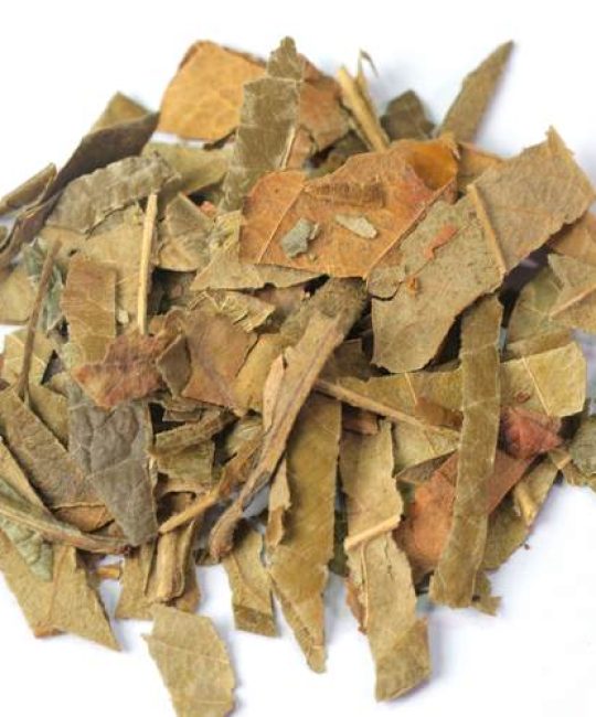 枇杷叶的功效与作用：止咳化痰的“良药”还是伤胃的“毒草”？