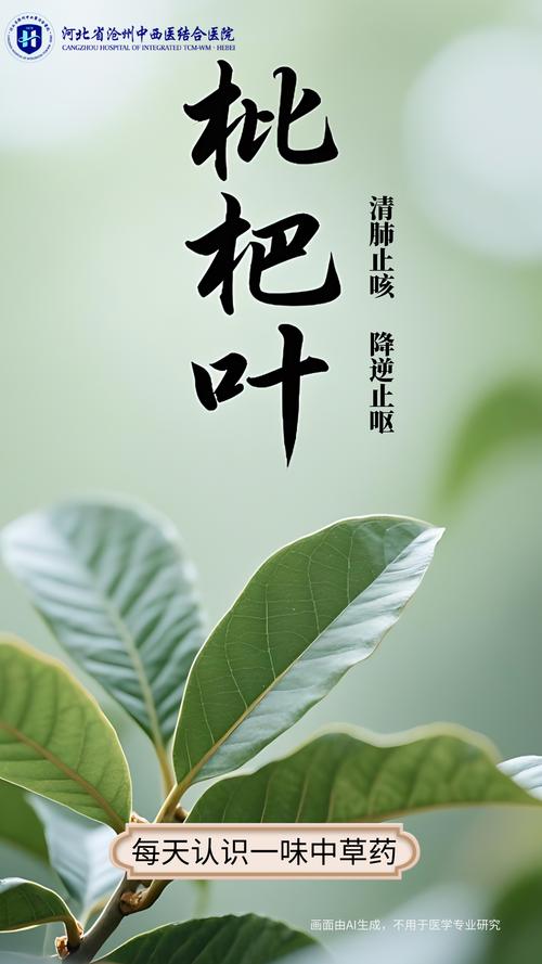 药用常识：清肺降火的传统药材