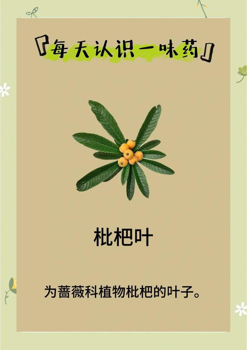注意事项：特殊人群与禁忌