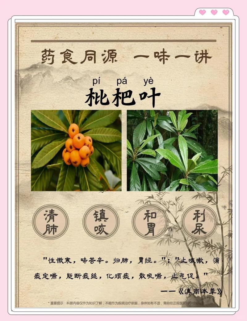 参考资料与免责声明