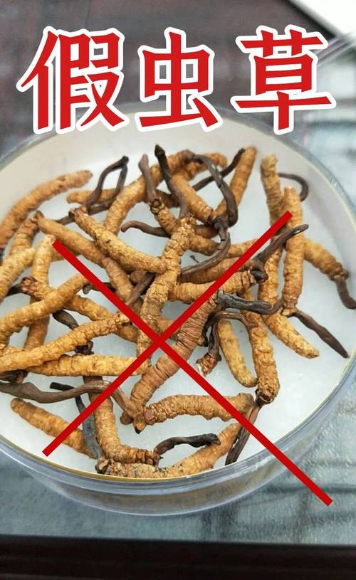 冬虫夏草现在的价格多少钱(2024年行情参考区间及影响因素详解) 规格:条数越小,单价越高