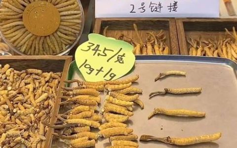 冬虫夏草现在的价格多少钱（2024年行情参考区间及影响因素详解）