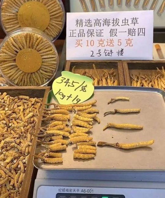 冬虫夏草现在的价格多少钱（2024年行情参考区间及影响因素详解）