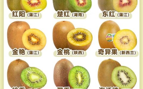猕猴桃品种选择指南：红心、绿心、黄心三大主流品种对比与选购建议
