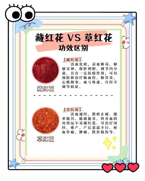 藏红花就是红花吗?园艺爱好者必知的植物区分指南 三、药用价值与价格天差地别