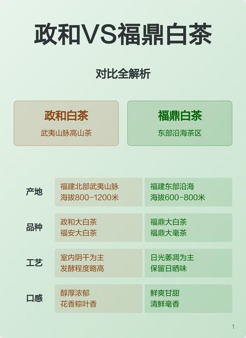 白茶茶树品种对比:福鼎大白茶、福鼎大毫茶与政和大白茶谁更值得种? 二、维度逻辑解释