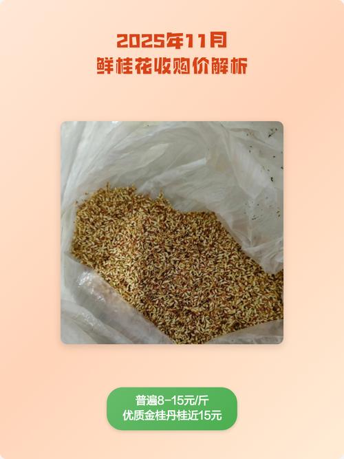 鲜桂花多少钱一斤?2025年最新市场价格参考与购买指南 五、运输方式:决定综合成本的“最后一公里”