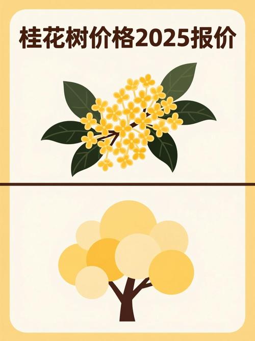 鲜桂花多少钱一斤?2025年最新市场价格参考与购买指南 价格影响因素总结表