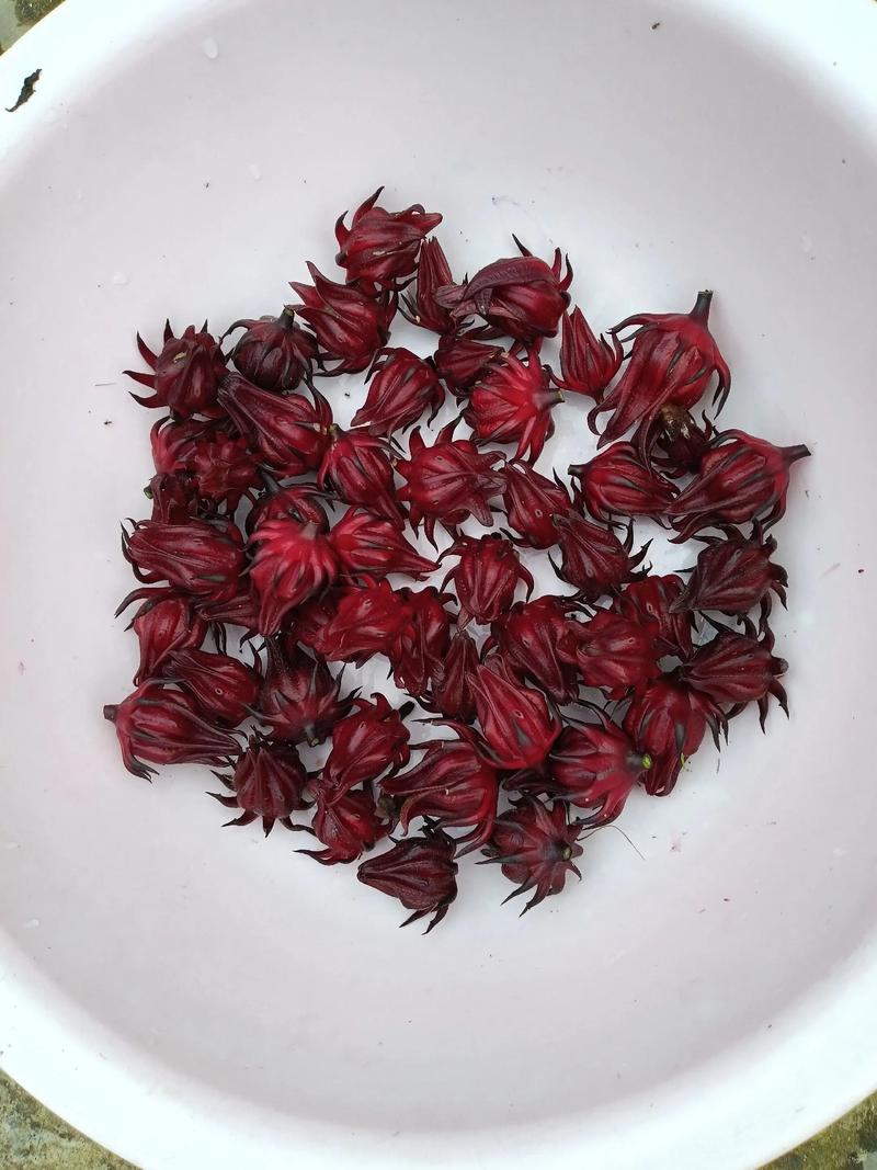 洛神花起什么作用?食用、药用与安全常识全解析 传统药用记载——仅作常识了解