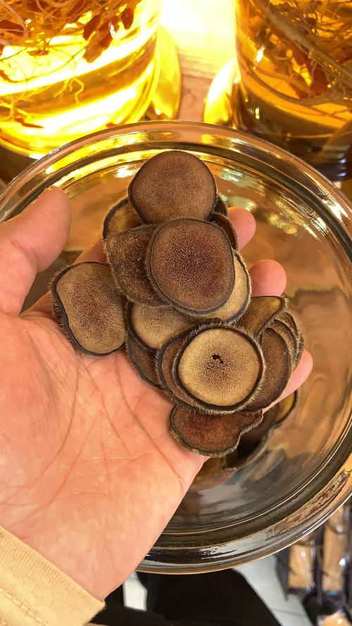 梅花鹿茸多少钱一斤?2025年市场参考价格与影响因素分析 梅花鹿茸多少钱一斤?2025年市场参考价格与影响因素分析