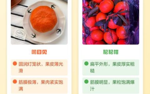 明日见和耙耙柑有什么区别？口感、外观、价格全对比