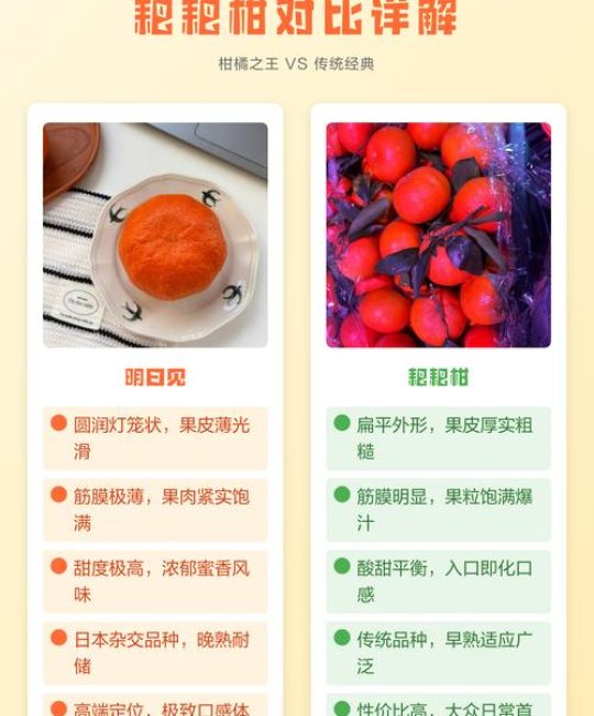 明日见和耙耙柑有什么区别？口感、外观、价格全对比