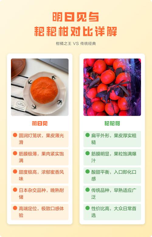 明日见和耙耙柑有什么区别？口感、外观、价格全对比