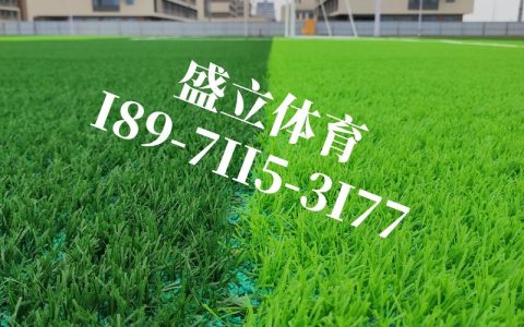 人工草坪多少钱一平方米？规格、产地、用量影响报价