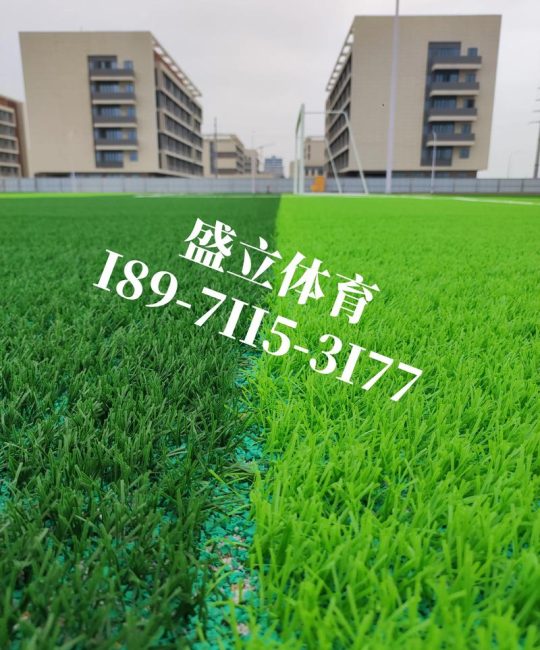 人工草坪多少钱一平方米？规格、产地、用量影响报价