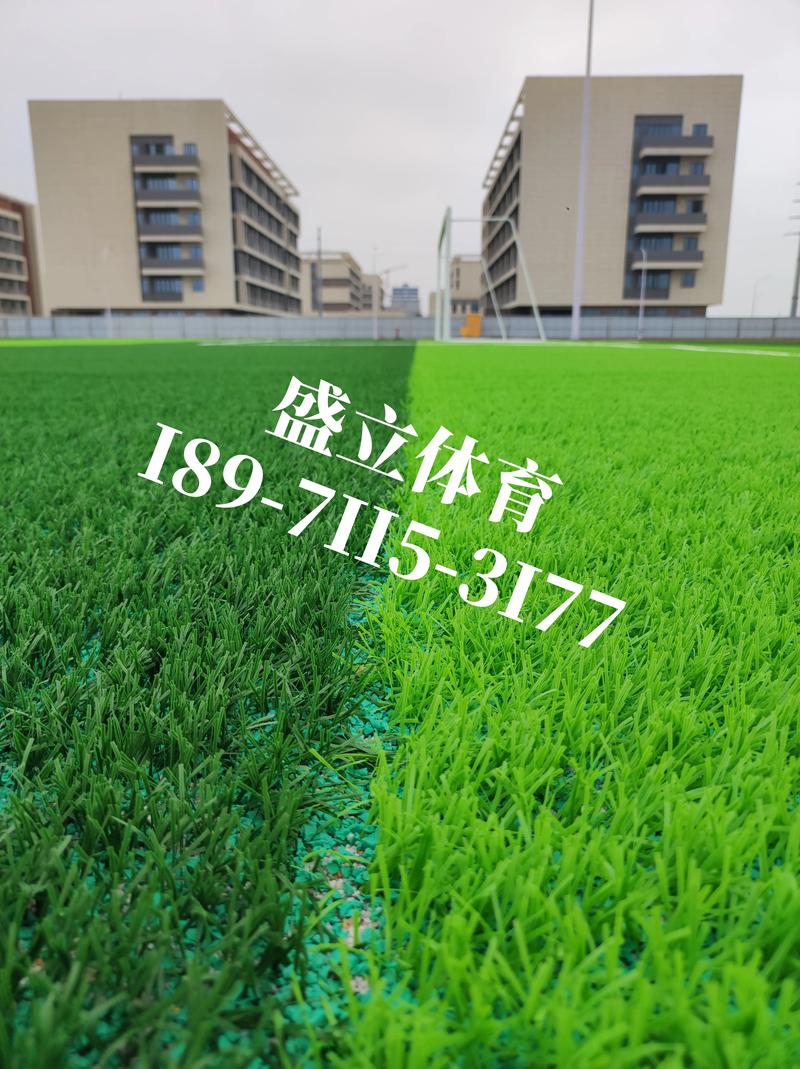 人工草坪多少钱一平方米?规格、产地、用量影响报价 人工草坪多少钱一平方米?规格、产地、用量影响报价