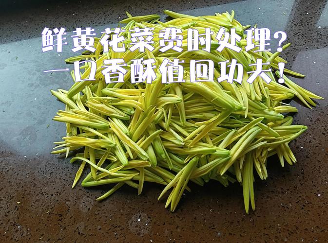 黄花菜新鲜采摘后怎么吃?园艺安全处理与美味做法全攻略 三、新鲜黄花菜的经典吃法