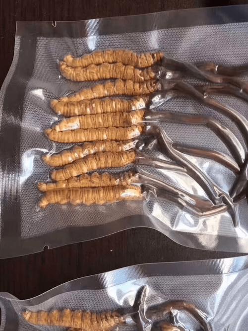 一般冬虫夏草多少钱一根?规格·产地·季节全面解析 价格快速参考