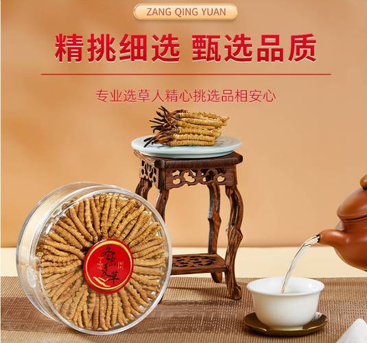 一般冬虫夏草多少钱一根?规格·产地·季节全面解析 咨询指南