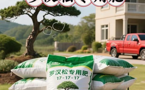 罗汉松可以用复合肥吗？正确施肥方法与注意事项全解析