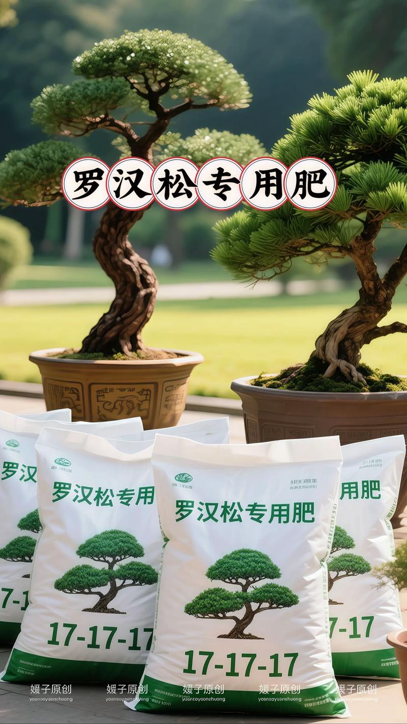 罗汉松可以用复合肥吗?正确施肥方法与注意事项全解析 三、如何正确使用复合肥