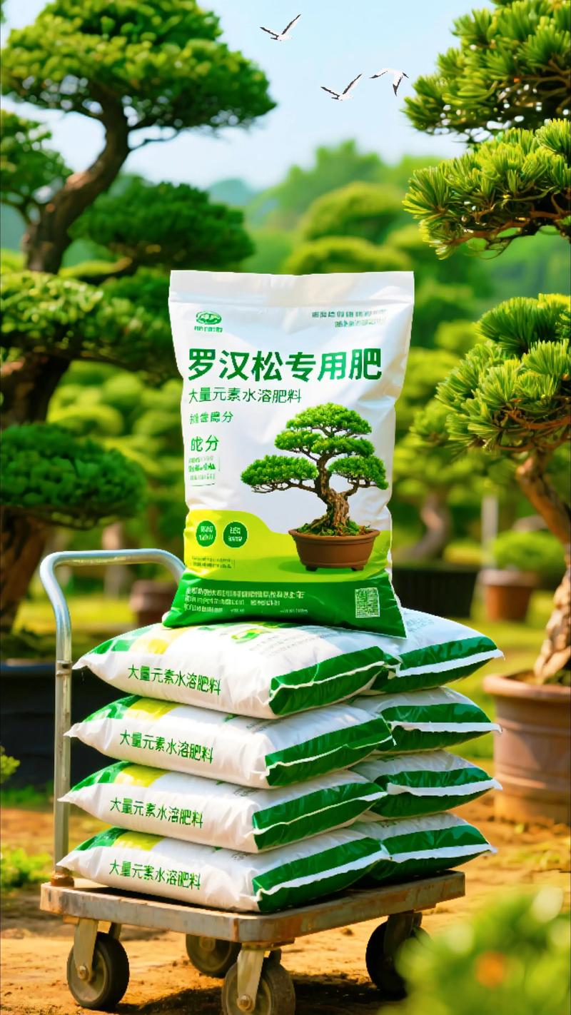 罗汉松可以用复合肥吗?正确施肥方法与注意事项全解析 二、什么时候施复合肥效果最好