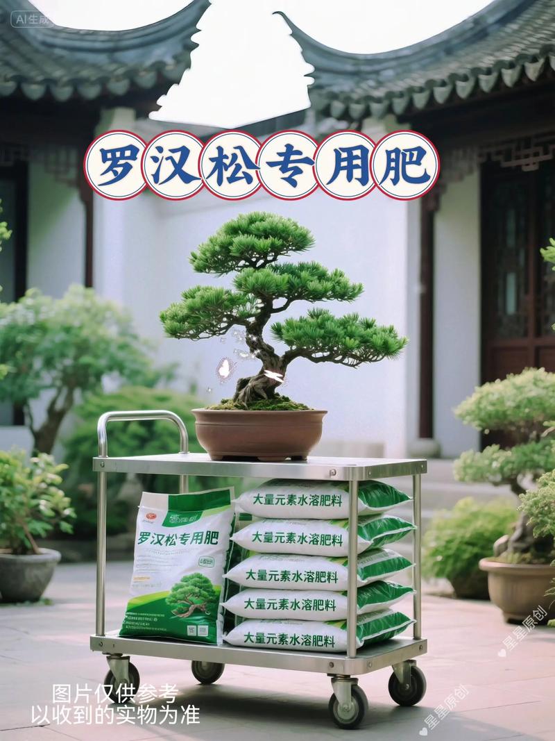 罗汉松可以用复合肥吗?正确施肥方法与注意事项全解析 五、特殊情况的施肥调整