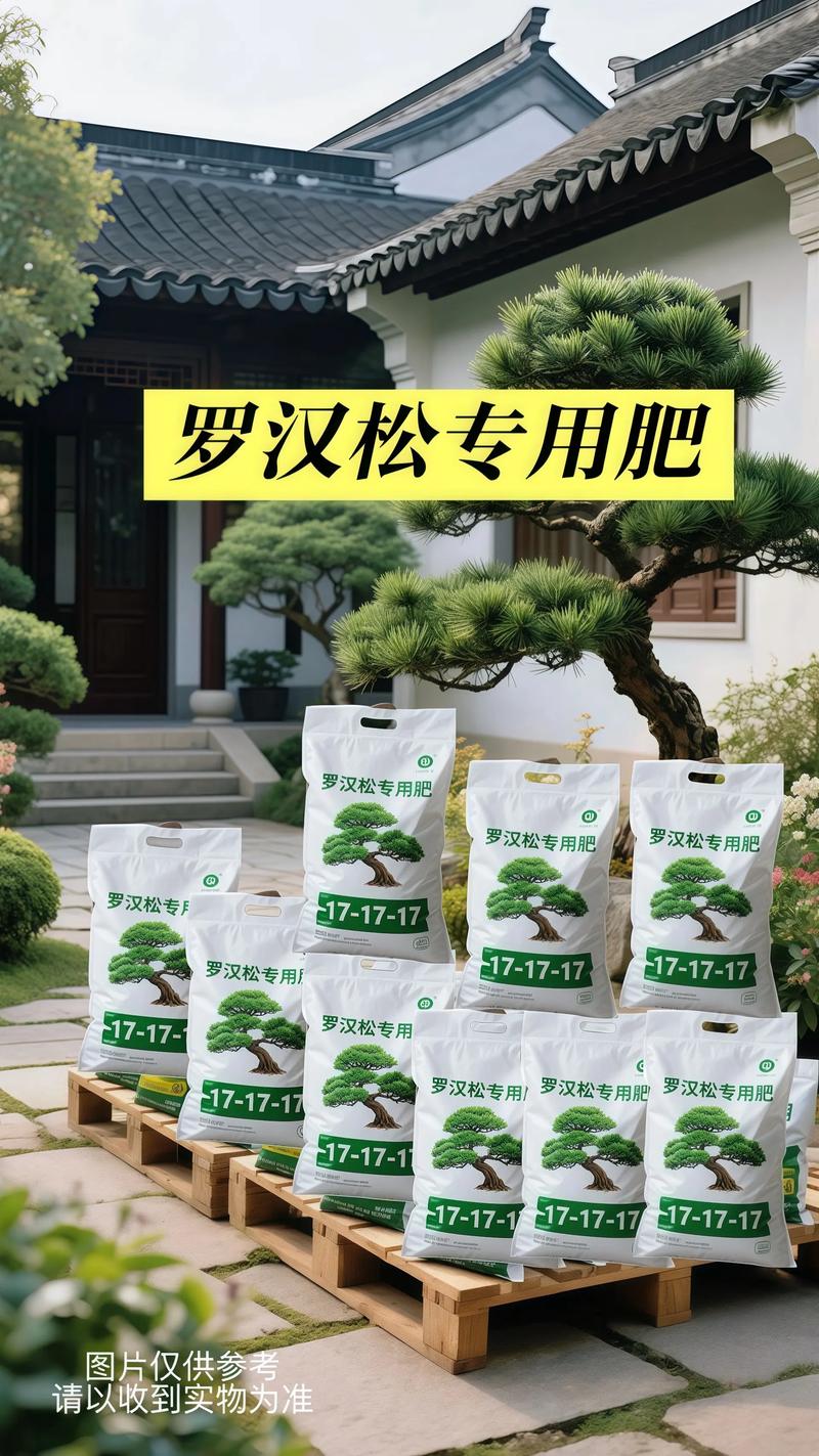 罗汉松可以用复合肥吗?正确施肥方法与注意事项全解析 四、避开这几个误区
