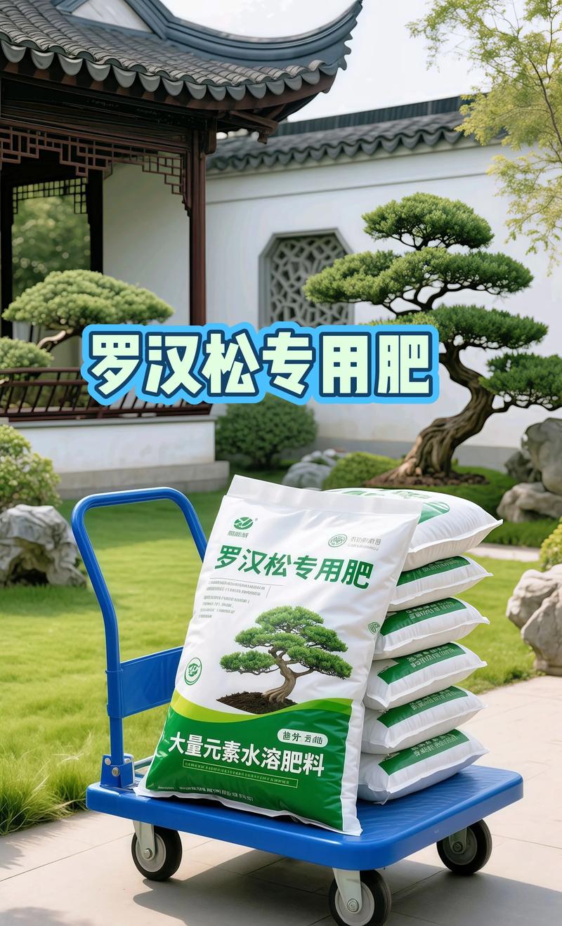 罗汉松可以用复合肥吗?正确施肥方法与注意事项全解析 总结