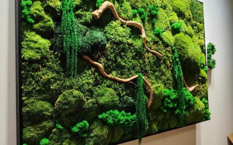 苔藓绿植墙多少钱一平米？2025年价格参考与影响因素全解析