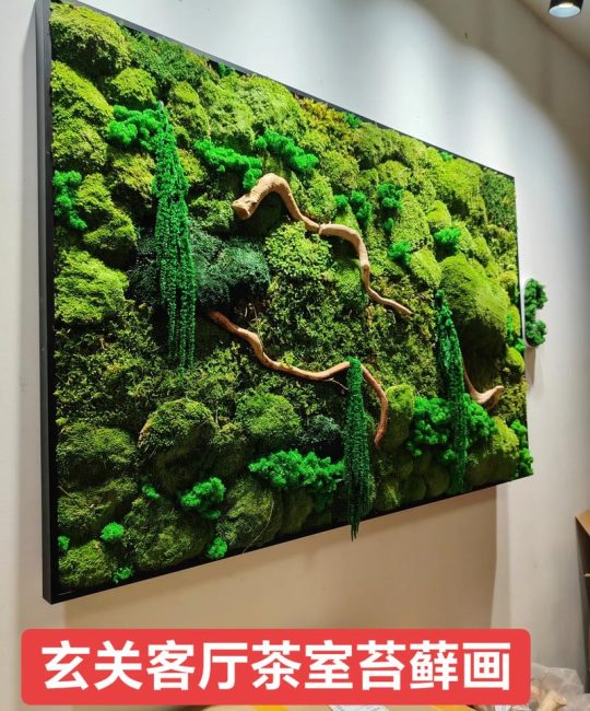 苔藓绿植墙多少钱一平米？2025年价格参考与影响因素全解析