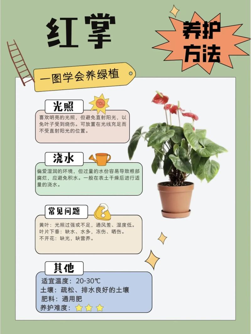家里适合养红掌花吗?——从光照、浇水到土壤的全面养护指南 二、家庭养护的关键参数