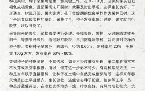 栾树价格全解析：规格、产地、季节与移栽成本指南