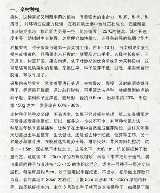 栾树价格全解析：规格、产地、季节与移栽成本指南