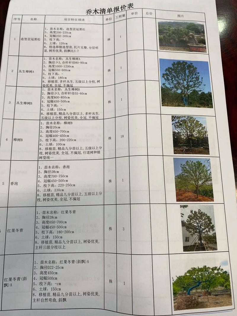栾树价格全解析:规格、产地、季节与移栽成本指南 常见问题解答(FAQ)