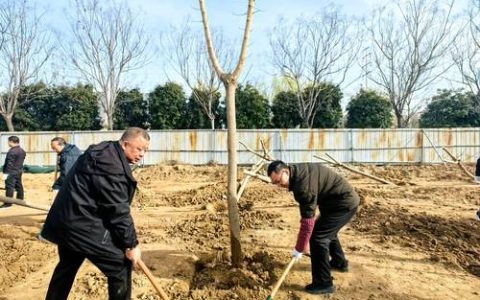 四月份移栽树能活吗？这份成活率提升指南请收好