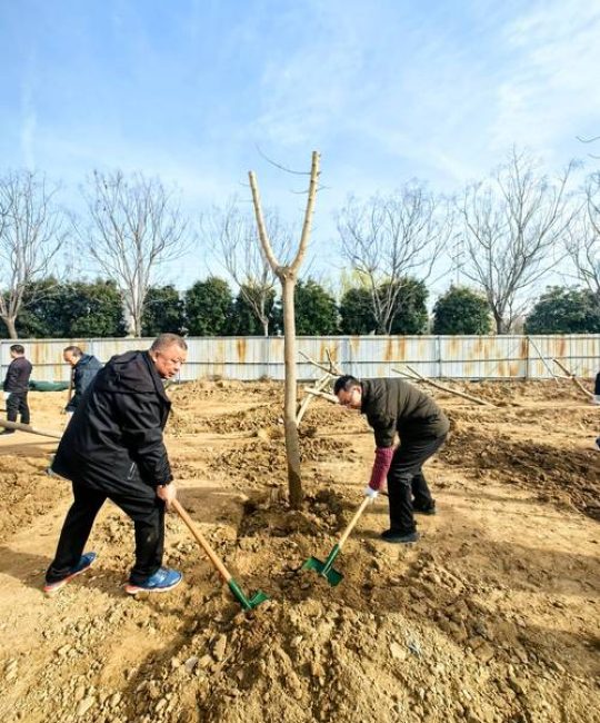 四月份移栽树能活吗？这份成活率提升指南请收好