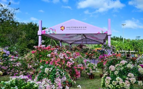 深圳国际园林花卉博览园免费吗？2025年最新门票政策与游览全攻略