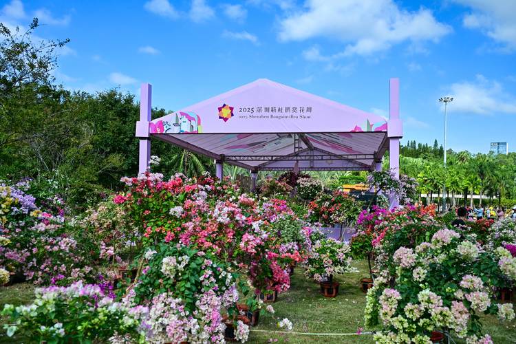 深圳国际园林花卉博览园免费吗?2025年最新门票政策与游览全攻略 门票政策详解:免费但有条件