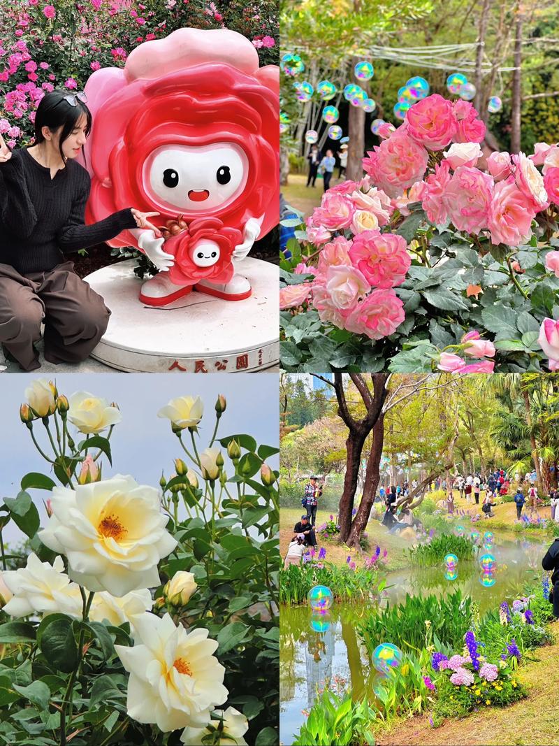 深圳国际园林花卉博览园免费吗?2025年最新门票政策与游览全攻略 园内看点与游览路线