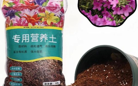杜鹃花最好的配土比例及自制配方