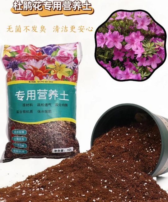 杜鹃花最好的配土比例及自制配方