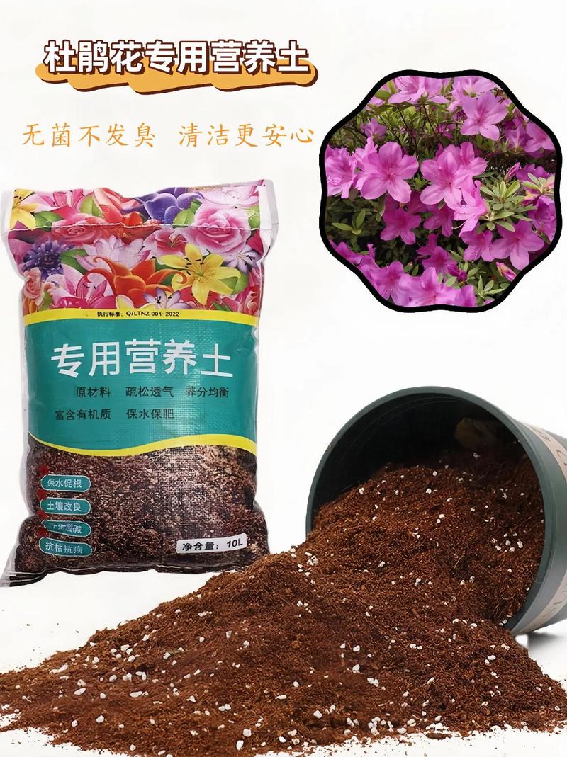 杜鹃花最好的配土比例及自制配方 杜鹃花最好的配土比例及自制配方