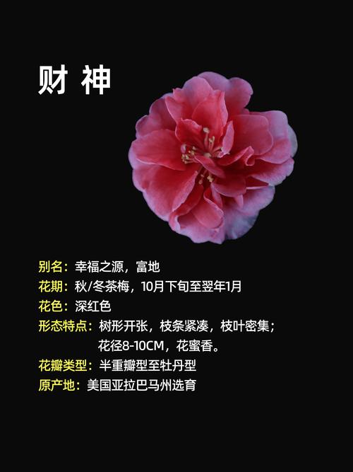 三、各维度差异逻辑解释