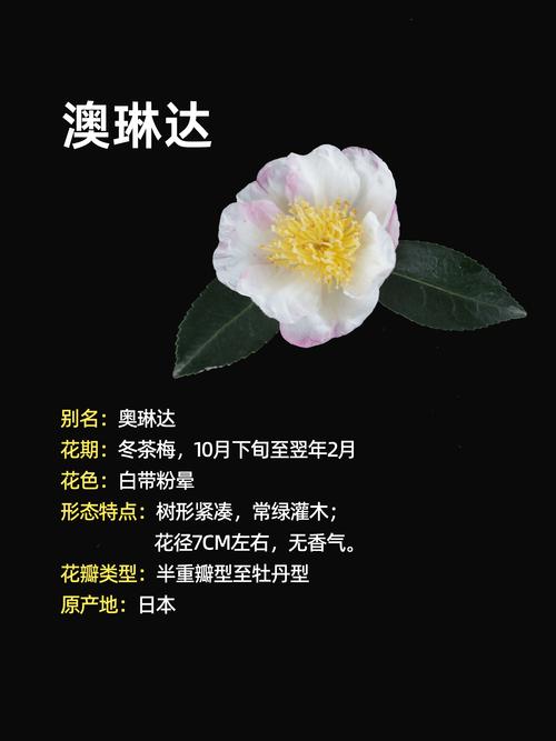 五、总结