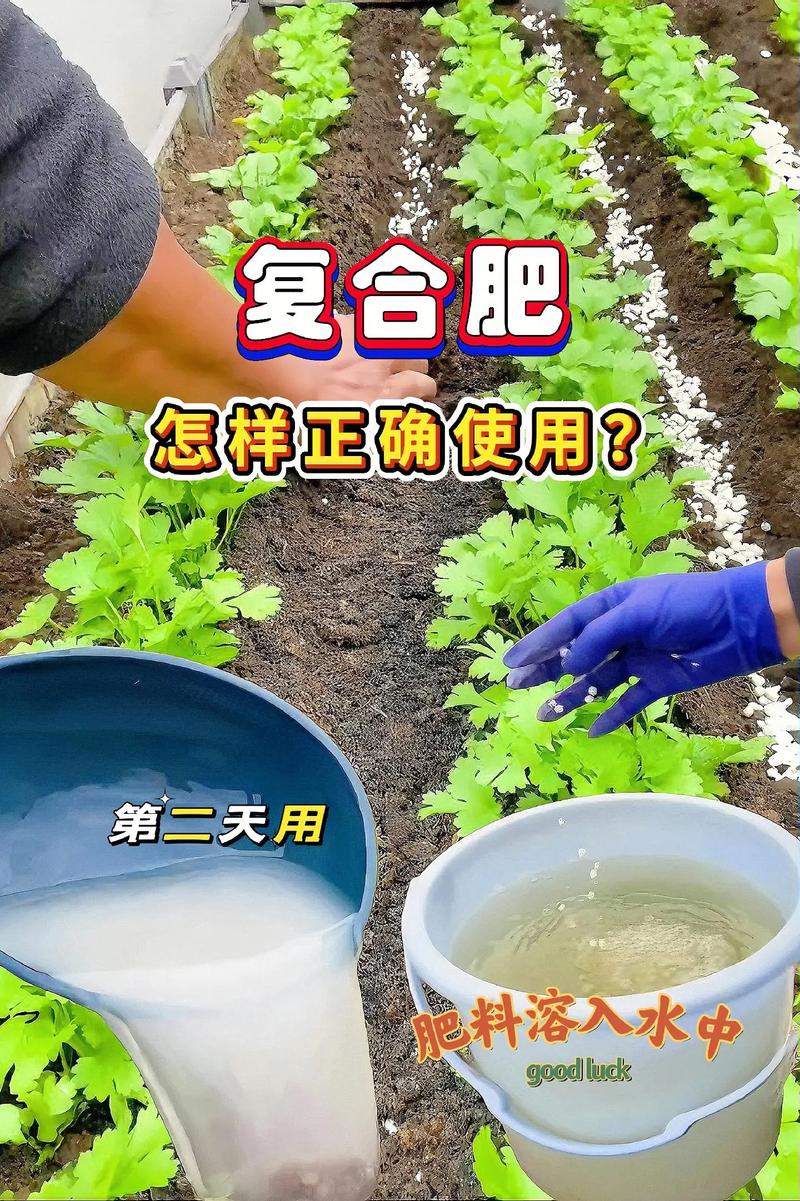 氮肥磷肥怎么用?掌握关键技巧,施肥效果翻倍 四、常见误区避坑