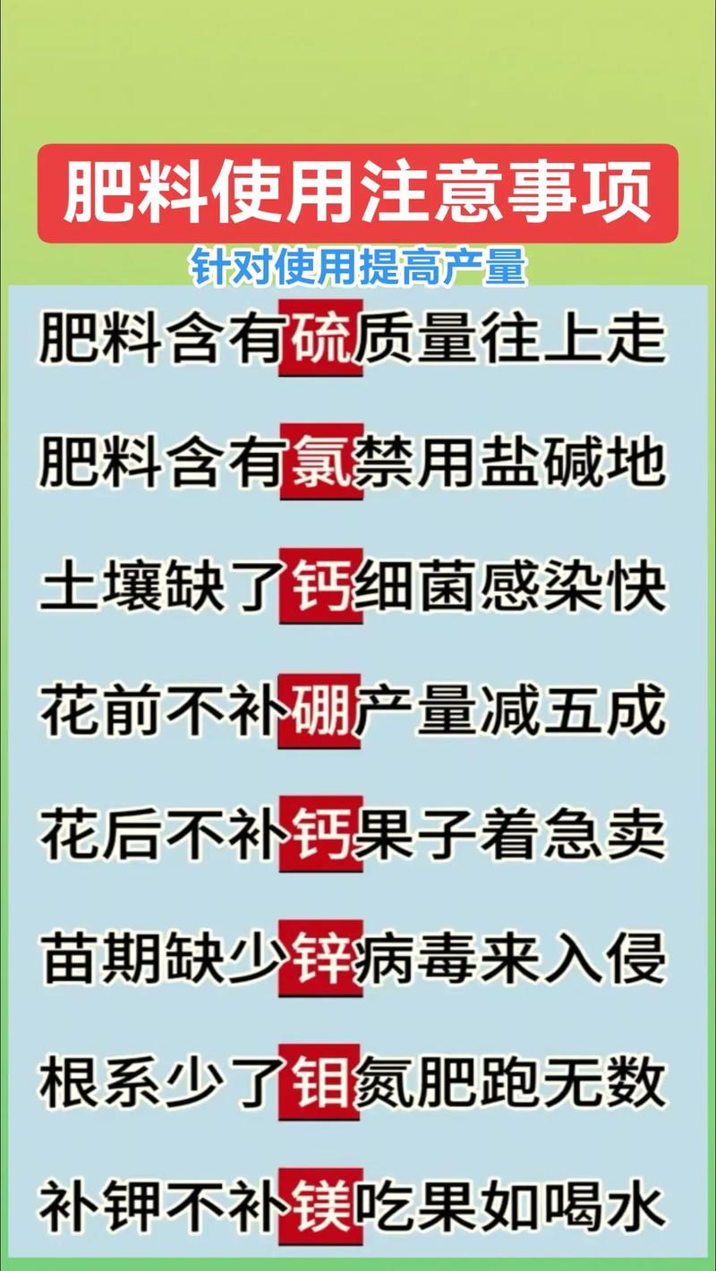 氮肥磷肥怎么用?掌握关键技巧,施肥效果翻倍 总结
